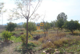 Puerto Lumbreras 15000&nbsp;m²