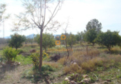 Parcel·la urbanitzable en venda a Puerto Lumbreras ref.: TR381897 foto