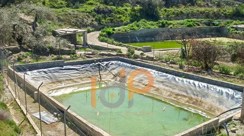 Almería - Huércal-Overa - 30000m2