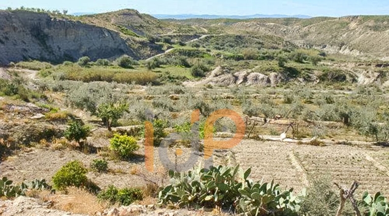 Almería - Huércal-Overa - 30000m2