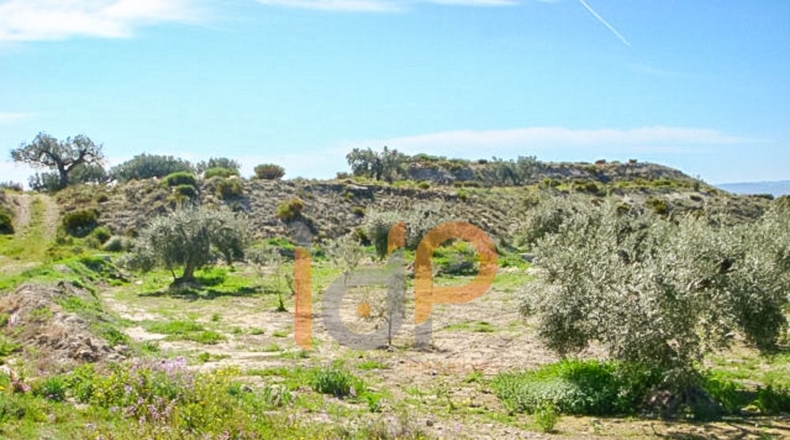 Almería - Huércal-Overa - 9000m2