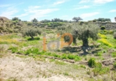 Terreny no urbanitzable en venda a Huércal-Overa ref.: TR32368 foto