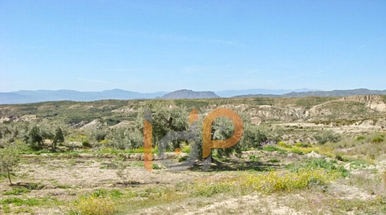 Almería - Huércal-Overa - 9000m2
