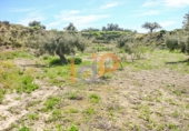 Terreny no urbanitzable en venda a Huércal-Overa ref.: TR32368 foto