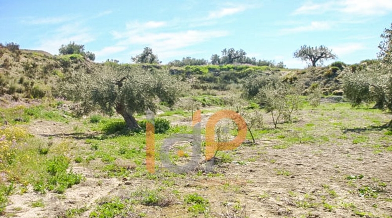 Almería - Huércal-Overa - 9000m2