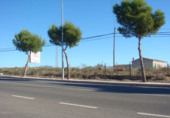 Parcel·la urbanitzable en venda a Huércal-Overa ref.: TR32367 foto