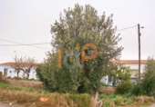 Sòl urbà en venda a Huércal-Overa ref.: TR22074 foto