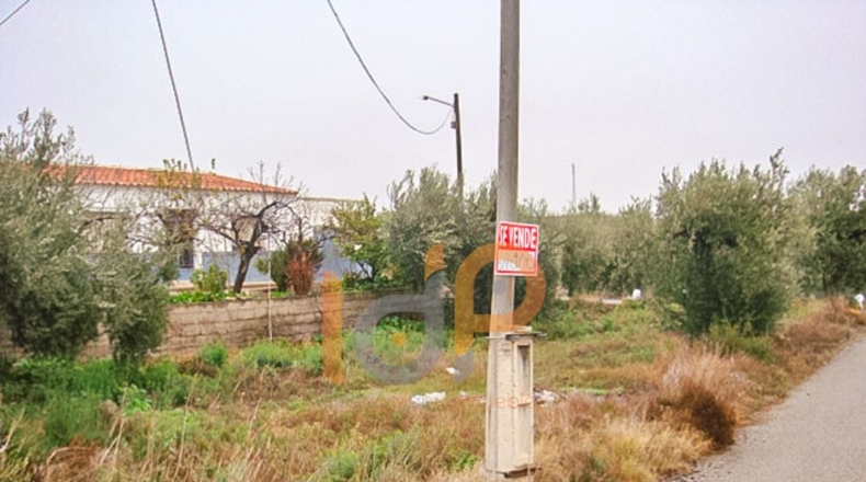 Almería - Huércal-Overa - 500m2