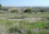 Terreny no urbanitzable en venda a Tabernas ref.: TR382555 foto