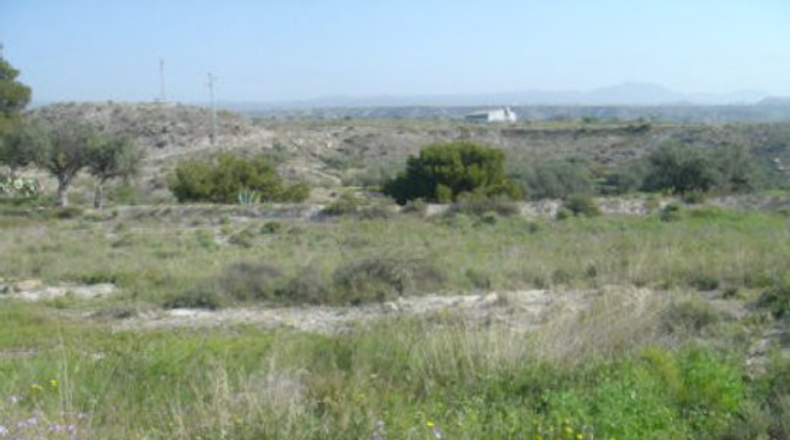 Almería - Almeria - 10000m2