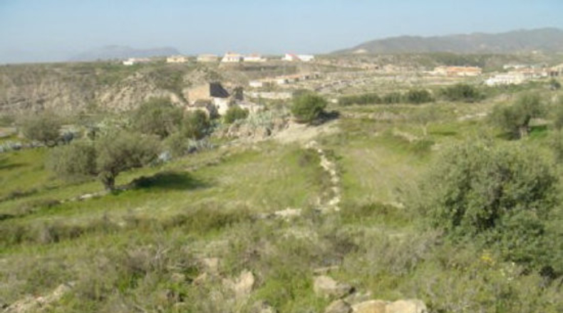 Almería - Almeria - 10000m2