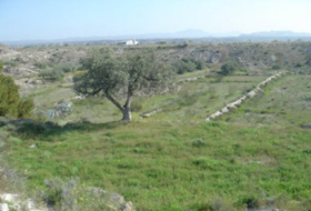 Tabernas 10000&nbsp;м²