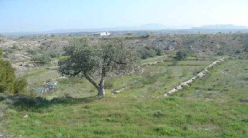 Almería - Almeria - 10000m2