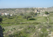 Terreny no urbanitzable en venda a Tabernas ref.: TR382555 foto