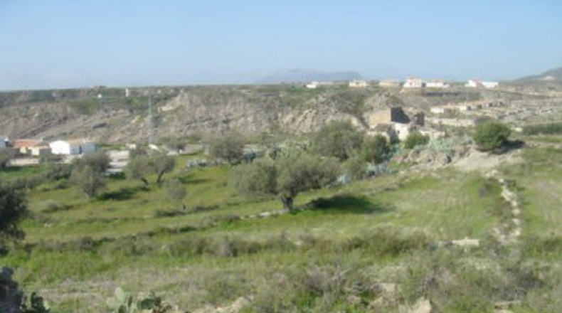 Almería - Almeria - 10000m2