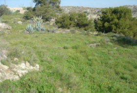 Tabernas 10000&nbsp;м²