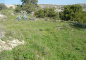 Terreny no urbanitzable en venda a Tabernas ref.: TR382555 foto