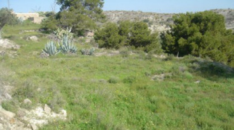 Almería - Almeria - 10000m2