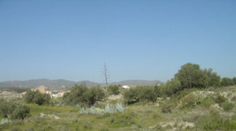Almería - Almeria - 10000m2