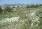 Terreny no urbanitzable en venda a Tabernas ref.: TR382555 foto