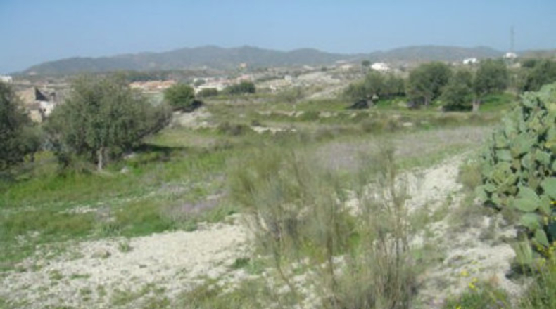 Almería - Almeria - 10000m2