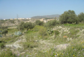 Tabernas 10000&nbsp;м²