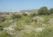 Terreny no urbanitzable en venda a Tabernas ref.: TR382555 foto