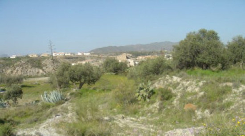 Almería - Almeria - 10000m2