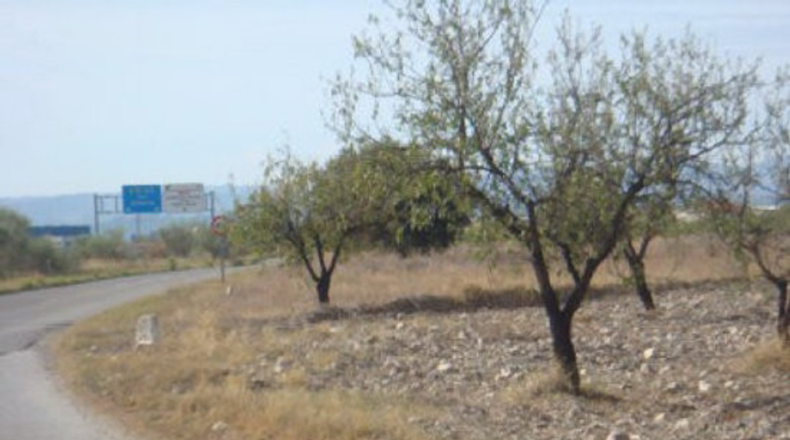 Almería - Huércal-Overa - 5000m2