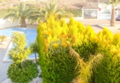 Xalet independent amb terreny en venda a Huércal-Overa ref.: TR27454 foto