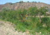 Nau industrial en venda a Huércal-Overa ref.: TR382252 foto