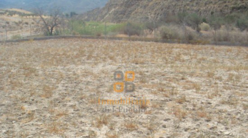 Альмерия - Huércal-Overa - 30000m2