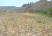 Nau industrial en venda a Huércal-Overa ref.: TR382252 foto