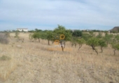 Land suitable for development for sale in Huércal-Overa ref: TR381954 photo