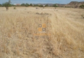 Land suitable for development for sale in Huércal-Overa ref: TR381954 photo