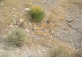 Land suitable for development for sale in Huércal-Overa ref: TR381954 photo