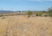 Land suitable for development for sale in Huércal-Overa ref: TR381954 photo
