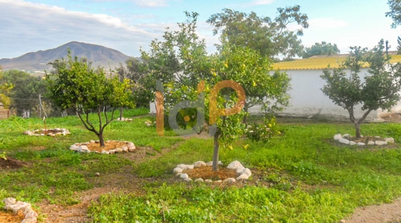 Almería - Huércal-Overa - 20m2