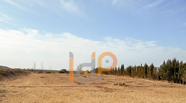 Almería - Las Norias - 30000m2