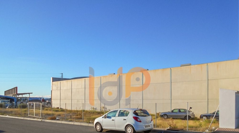 Almería - Huércal-Overa - 700m2