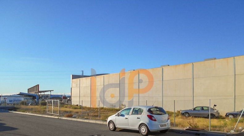 Almería - Huércal-Overa - 700m2