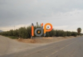 Industrial warehouse for sale in Huércal-Overa ref: TR51078 photo