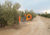 Industrial warehouse for sale in Huércal-Overa ref: TR51078 photo