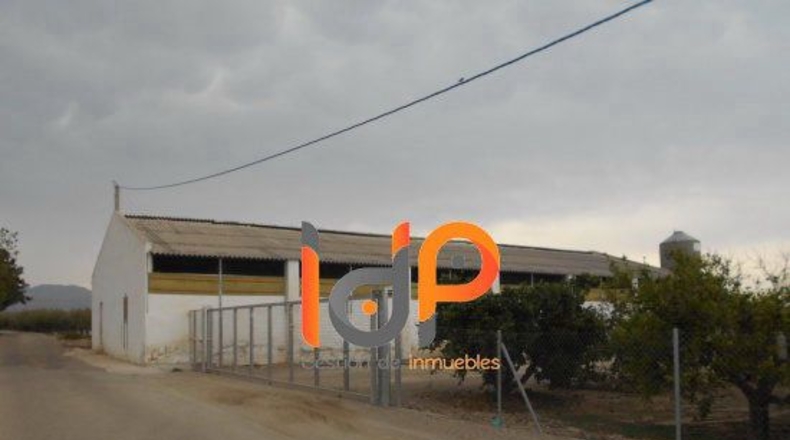 Almería - Úrcal - 20000m2