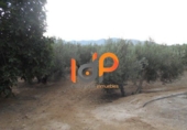 Industrial warehouse for sale in Huércal-Overa ref: TR51078 photo