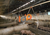 Industrial warehouse for sale in Huércal-Overa ref: TR51078 photo