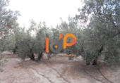 Industrial warehouse for sale in Huércal-Overa ref: TR51078 photo