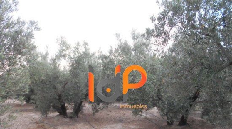 Almería - Úrcal - 20000m2