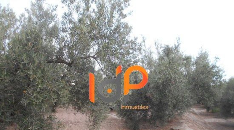Almería - Úrcal - 20000m2
