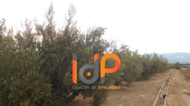 Almería - Úrcal - 20000m2